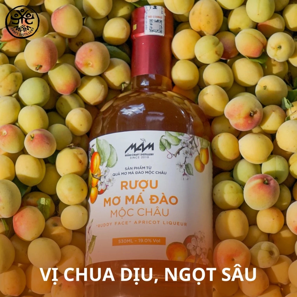 Mơ Má Đào Mầm Distillery 100ml/530ml - Hoa Quả Trái Cây Lên Men Ngọt Êm - Chạm Atelier