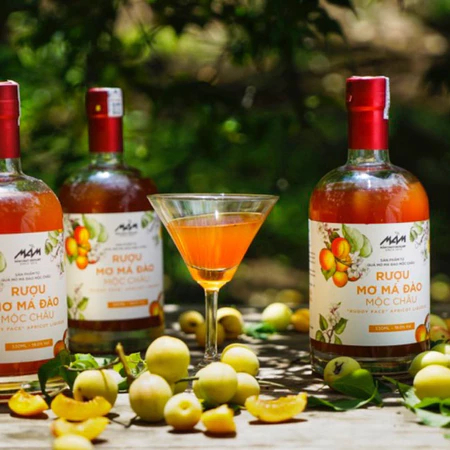 Mơ Má Đào Mầm Distillery 100ml/530ml - Hoa Quả Trái Cây Lên Men Ngọt Êm - Chạm Atelier