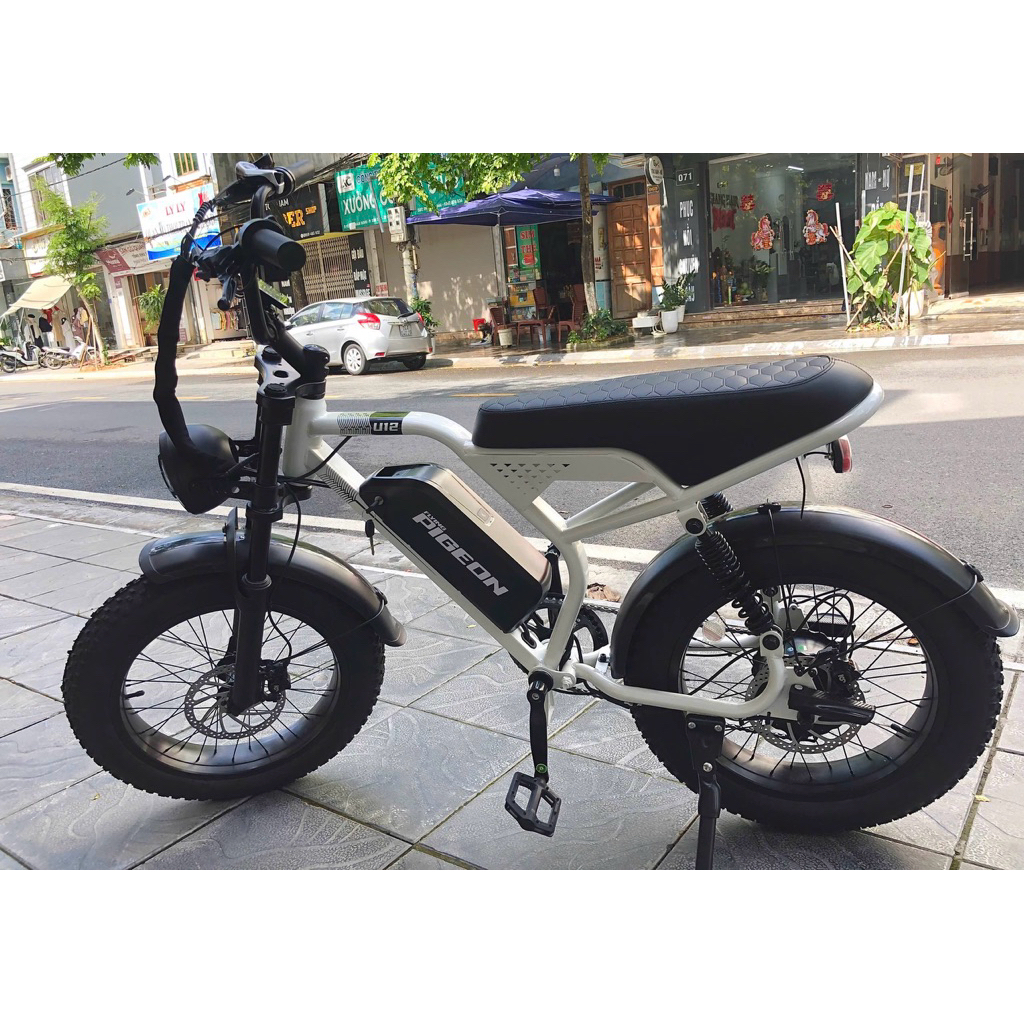 Xe đạp trợ lực điện oder- sẵn trắng 25Ah