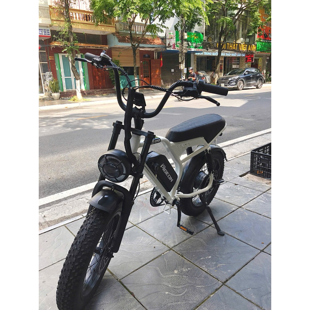 Xe đạp trợ lực điện oder- sẵn trắng 25Ah | BigBuy360 - bigbuy360.vn