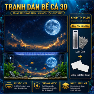 Decal tranh dán hồ cá 3D Kho In Ấn HC47 chống nước, In KTS dán dễ, gỡ dễ, có keo sẵn, nhiều kích cỡ