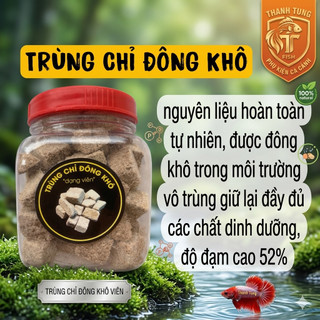 Trùng Chỉ Đông Khô độ đạm cao - thức ăn cao cấp giúp cá phát triển toàn diện