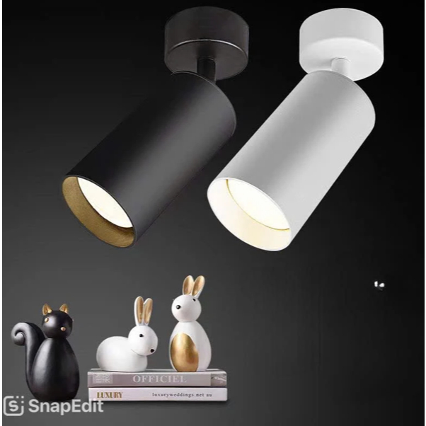 Đèn Ống Bơ Đèn Rọi Đơn 20w / 30w gắn tường trần ốp nổi xoay 360° đèn chiếu điểm đèn soi tranh