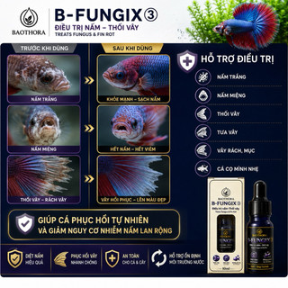 B-FUNGIX 3 – Hỗ Trợ Xử Lý Nấm & Thối Vây Cho Cá Cảnh