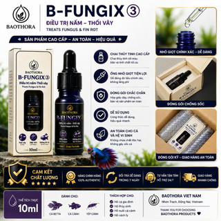 B-FUNGIX 3 – Hỗ Trợ Xử Lý Nấm & Thối Vây Cho Cá Cảnh