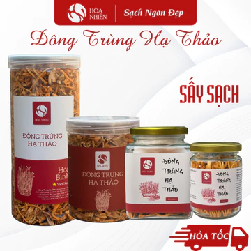 Nấm Đông Trùng, Đông Trùng Hạ Thảo sấy thăng hoa và sấy nhiệt | Hòa Nhiên