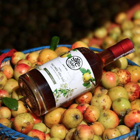 Táo Mèo Mầm Distillery 100ml/530ml - Hoa Quả Trái Cây Lên Men Ngọt Êm - Chạm Atelier