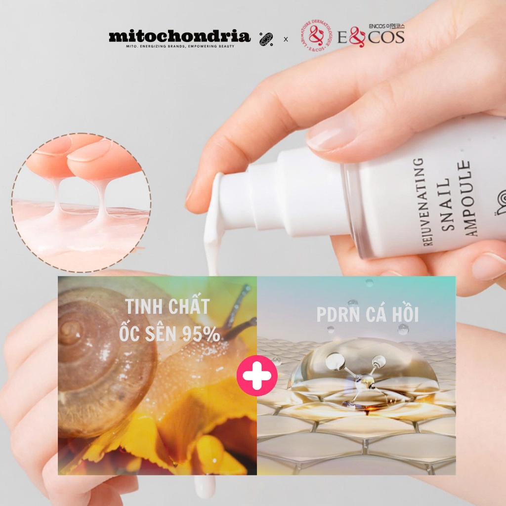 Dưỡng PDRN nâng cơ & cải thiện nếp nhăn E&COS Rejuvenating Snail Ampoule 50ml