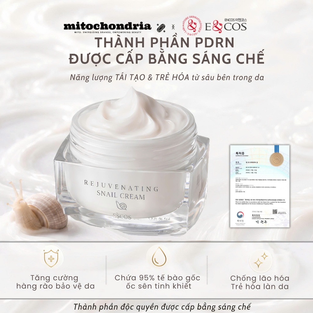 Kem PDRN & tế bào gốc ốc sên Pháp tái tạo & trẻ hóa da E&COS Rejuvenating Snail Cream 50ml