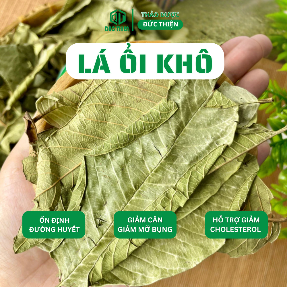 500g Lá Ổi Khô Loại 1 Đức Thiện - Lá Ổi Khô Giúp Giảm Cân, Ổn Định Đường Huyết, Ngừa Sâu Răng