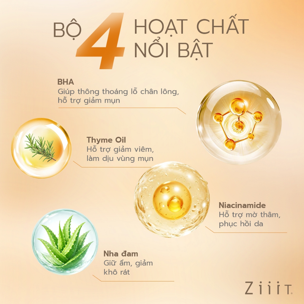 Gel Chấm Mụn Trứng Cá Mờ Thâm Dành Cho Da Dầu Mụn BHA ZiiiT Quix 5g