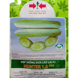 20 hạt Dưa Leo Hunter 1.0, Rau Ăn Quả Cty Hai Mũi Tên Nổi Tiếng, Trồng Quanh Năm, Năng Suất Cao, Hạt Nảy Mầm Nhanh, Manh