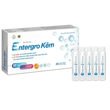Men tiêu hoá Entergro kẽm Men hỗ trợ tiêu hóa, giảm đầy bụng, khó tiêu, ăn ngon vie