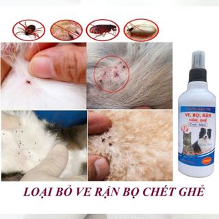 Homee.cok Xịt Vệ Sinh Chó Mèo 310ml - Hỗ Trợ Làm Sạch Ve Rận, Bọ Chét Trên Lông Và Khu Vực Nuôi