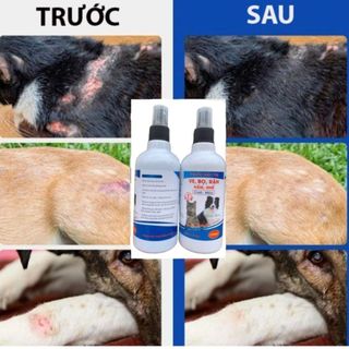Homee.cok Xịt Vệ Sinh Chó Mèo 310ml - Hỗ Trợ Làm Sạch Ve Rận, Bọ Chét Trên Lông Và Khu Vực Nuôi