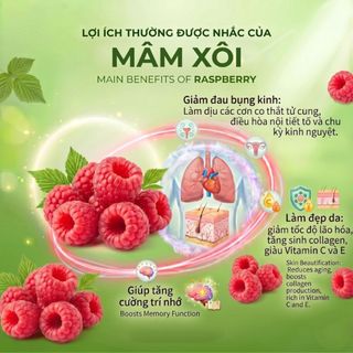 Trà Mâm Xôi AMMU Hộp 20 Túi Lọc - Trà Thảo Mộc Đà Lạt Thanh Mát, Vị Ngọt Thanh Tự Nhiên