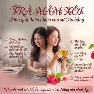 Trà Mâm Xôi AMMU Hộp 20 Túi Lọc - Trà Thảo Mộc Đà Lạt Thanh Mát, Vị Ngọt Thanh Tự Nhiên