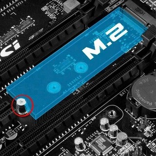 Bộ Ốc Cố Định (ốc ZIN new theo Main)  Ổ Cứng SSD M.2 Nvme Cho Main PC / M.2 Sata Cho Mainboard Asus/Gigabyte/ ASRock/MSI