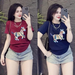 Áo Thun Dáng Vừa Nữ NGỰA MÀU BAGIC Vải Cotton Mềm Mịn Mát Co Dãn 4 Chiều Form 40~60kg