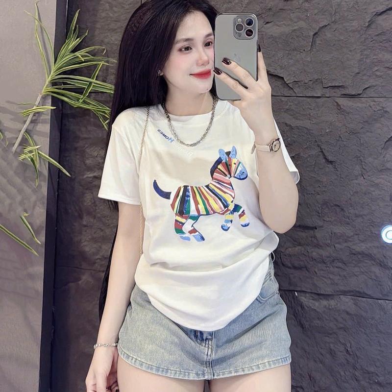 Áo Thun Dáng Vừa Nữ NGỰA MÀU BAGIC Vải Cotton Mềm Mịn Mát Co Dãn 4 Chiều Form 40~60kg