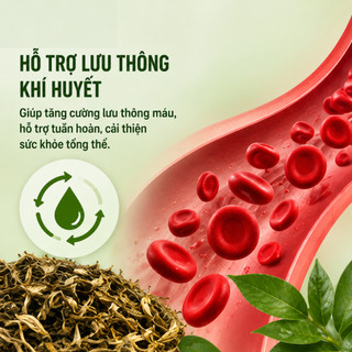 Trinh Nữ Hoàng Cung Khô Chính Hãng Hỗ Trợ Giảm U Nang U Sơ Hỗ Trợ Thanh Nhiệt Cân Bằng Nội Tiết