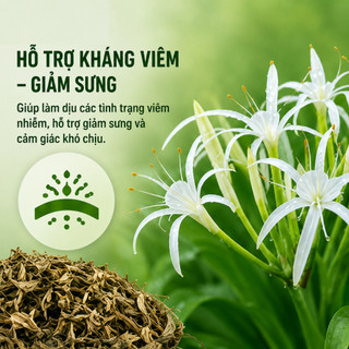 Trinh Nữ Hoàng Cung Khô Chính Hãng Hỗ Trợ Giảm U Nang U Sơ Hỗ Trợ Thanh Nhiệt Cân Bằng Nội Tiết