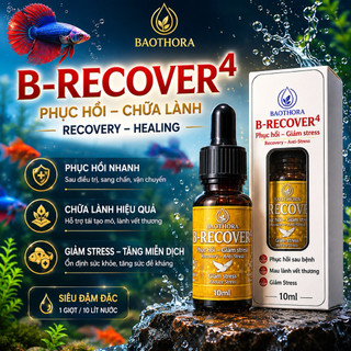B-RECOVER 4 10ml Hỗ Trợ Cá Cảnh Phục Hồi Nhanh - Giảm Stress - Hỗ Trợ Lành Vây & Ổn Định Cá