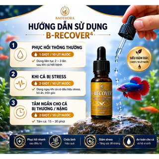 B-RECOVER 4 10ml Hỗ Trợ Cá Cảnh Phục Hồi Nhanh - Giảm Stress - Hỗ Trợ Lành Vây & Ổn Định Cá