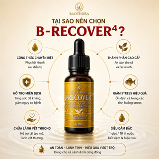B-RECOVER 4 10ml Hỗ Trợ Cá Cảnh Phục Hồi Nhanh - Giảm Stress - Hỗ Trợ Lành Vây & Ổn Định Cá