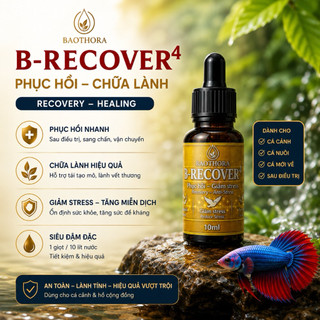 B-RECOVER 4 10ml Hỗ Trợ Cá Cảnh Phục Hồi Nhanh - Giảm Stress - Hỗ Trợ Lành Vây & Ổn Định Cá