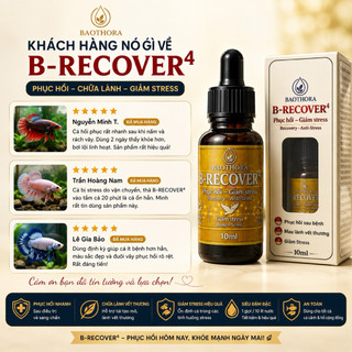 B-RECOVER 4 10ml Hỗ Trợ Cá Cảnh Phục Hồi Nhanh - Giảm Stress - Hỗ Trợ Lành Vây & Ổn Định Cá