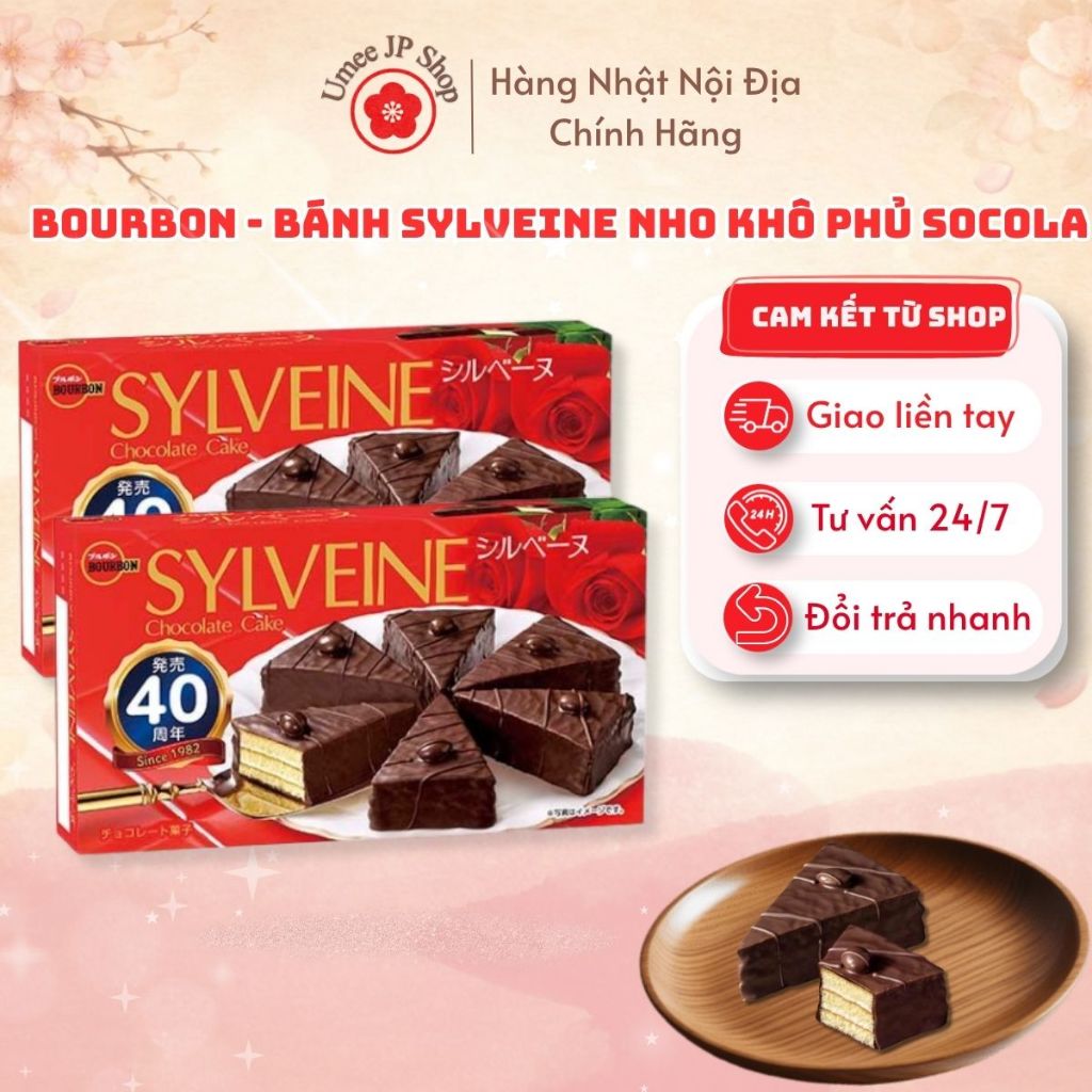 Bánh Sylveine nho khô phủ socola Bourbon hộp 120g - Hàng Nhật Nhập Khẩu