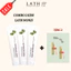 Combo 4 KĐR Thảo Dược Trái Nhàu Lath Noni Toothpaste 120g chống viêm nướu, ngừa sâu răng, hôi miệng
