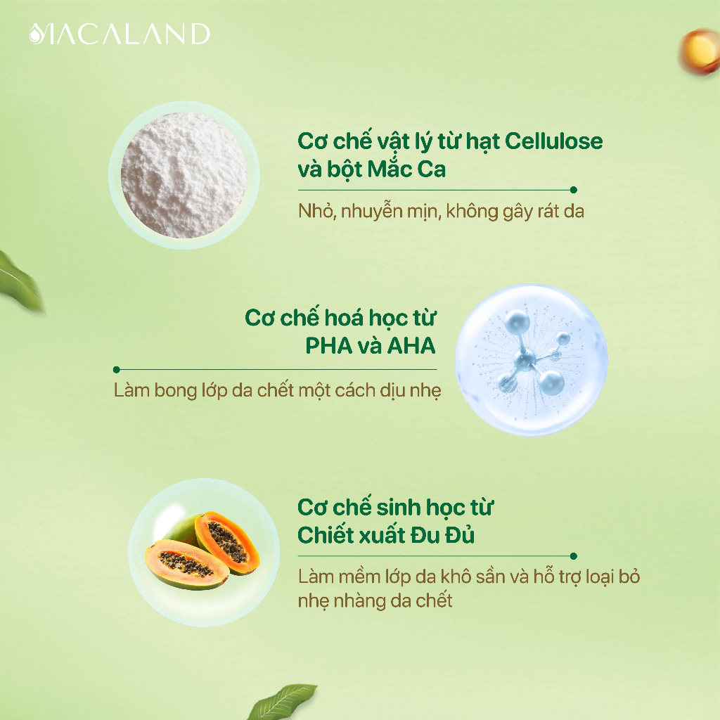 Tẩy Tế Bào Chết Da Mặt Mắc Ca 120g Làm Mịn Da Macaland - Macadamia Smoothing Face Scrub
