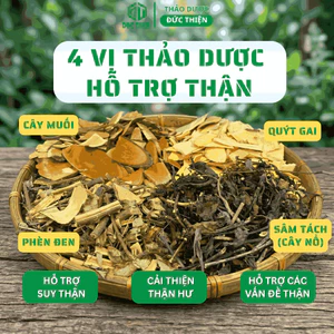 4 Vị Thảo Dược Hỗ Trợ Các Vấn Đề Về Than - Cây Muối, Quýt Gai, Phèn Đen, Cây Nổ(Sâm Tách) - 500g/Vị.