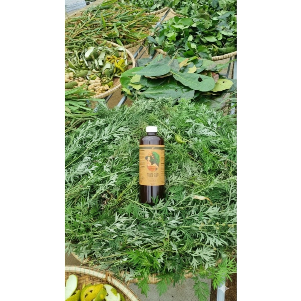 Nước Ngâm Thảo Mộc Anh Minh - Nước Ngâm Mông, Ngâm Tắm Thư Giãn, Giảm Ngứa, Rôm Sảy, Viêm Nhiễm (Chai 1lit, can 5 lít)