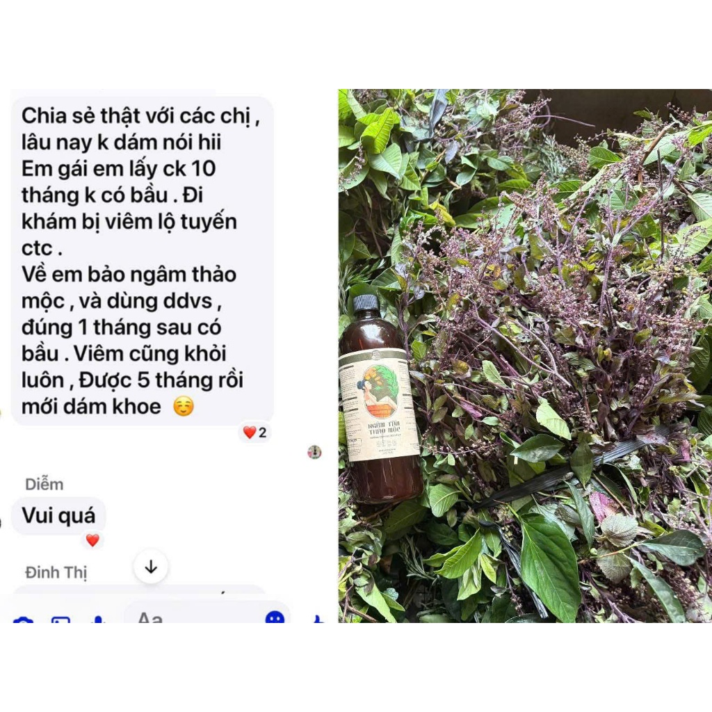 Nước Ngâm Thảo Mộc Anh Minh - Nước Ngâm Mông, Ngâm Tắm Thư Giãn, Giảm Ngứa, Rôm Sảy, Viêm Nhiễm (Chai 1lit, can 5 lít)
