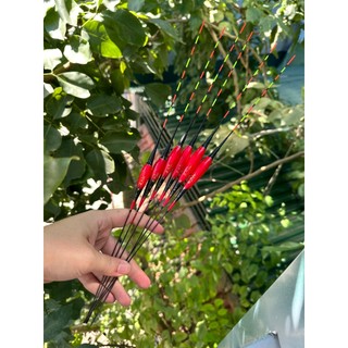 Phao Câu Đêm Đổi Màu Phao Câu Đài Nano Tăm Điện Siêu Nhạy Cao Cấp Tặng Kèm Pin