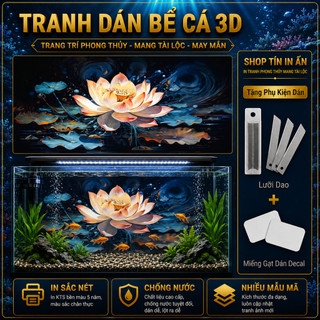 Decal tranh dán hồ cá 3D Kho In Ấn HC20 chống nước, In KTS dán dễ, gỡ dễ, có keo sẵn, nhiều kích cỡ