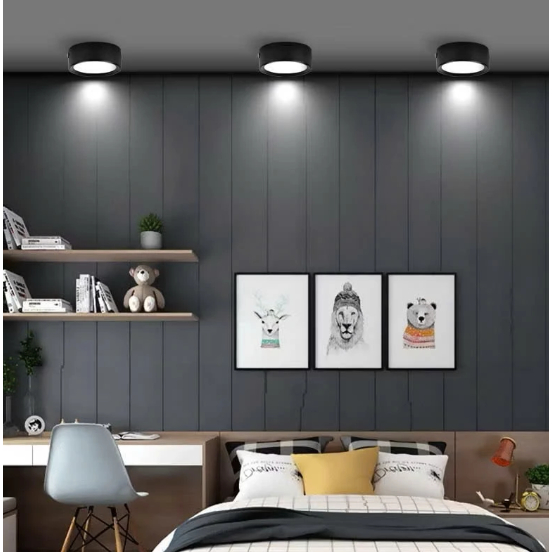 Đèn LED ốp nổi trần 6w 12w 18w gắn phòng khách ban công phòng ngủ hành lang lối đi