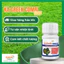 Phân bón sinh học KG Nano Combi Gold 100ml - Bổ sung đầy đủ các trung, vi lượng cần thiết