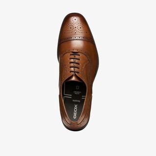 Giày Tây Nam Geox Walk Pleasure Chất Liệu Da Cao Cấp Êm Ái Thoáng Khí