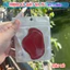 Miếng dán da pu sửa chữa (má, gót, mũi) giày. Miếng lót vá vết bị bục, bị rách giày (thể thao, vải)
