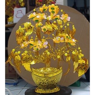 trọn bộ nguyên liệu cây kim tiền về tự gắn cao 30cm bán kính 25cm