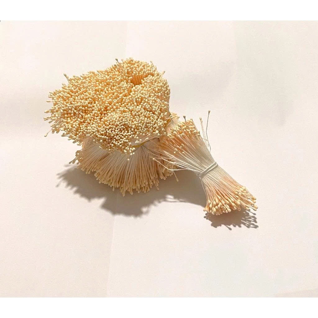 Bó nhuỵ, nhị hoa làm handmade trang trí