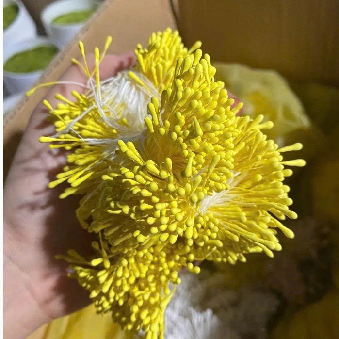 Bó nhuỵ, nhị hoa làm handmade trang trí