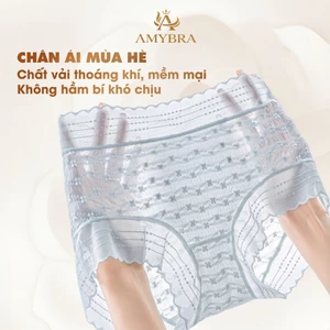 Quần Lót Nữ Cao Cấp - Quần Chip Nữ Cạp Giữa Xuyên Thấu Gợi Cảm AMYBRA L5505