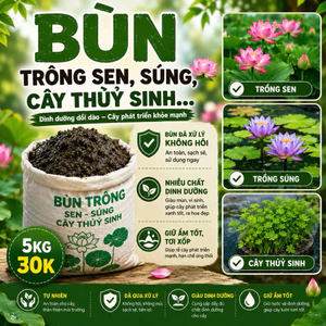 Bùn trồng sen, súng, cây thuỷ sinh (5kg) nhiều chất dinh dưỡng, không hôi