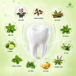 Kem đánh răng thảo dược Mộc Nam - Giảm hôi miệng, trắng sạch tự nhiên, không chứa Fluoride