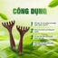 Lược 6 Móng Hình Sừng Hươu, Lược Massage Đầu Bằng Nhựa Giả Gỗ